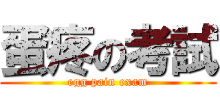 蛋疼の考試 (egg pain exam)