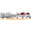 珍激の小手丸 (KOTEMAL.hand name)