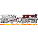 進撃の蘇哥 (attack on titan)