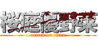 桜庭優野菜 (attack on titan)