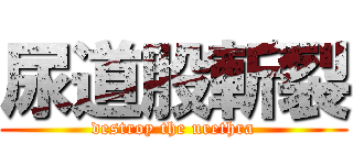 尿道股斬裂 (destroy the urethra)