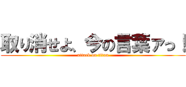 取り消せよ、今の言葉ァっ！ (attack on titan)