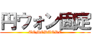 円ウォン固定 (TOMODAORE)