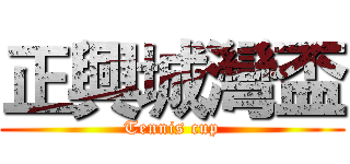 正興城灣盃 (Tennis cup)