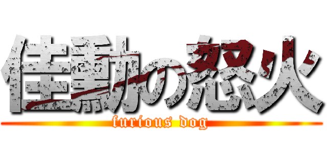 佳勳の怒火 (furious dog)