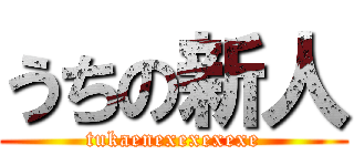 うちの新人 (tukaenexexexexe)