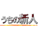 うちの新人 (tukaenexexexexe)