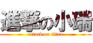 進撃の小瑞 (attack on titan)