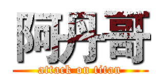 阿丹哥 (attack on titan)