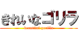 きれいなゴリラ (beautiful gorilla)