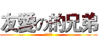 友愛の的兄弟 (兄弟之情)