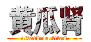 黄瓜肾 (attack on titan)