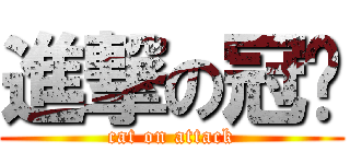 進撃の冠貓 (cat on attack)