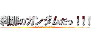 刹那のガンダムだっ！！！ (I\'m an innovator)