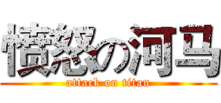 愤怒の河马 (attack on titan)