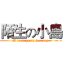 陌生の小島 (A teenager's journey)