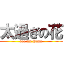 太過ぎの花 (too fat Hana)