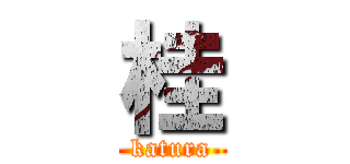 桂 (katura)