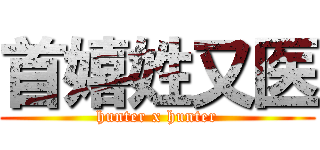 首嬉姓又医 (hunter x hunter)