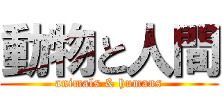 動物と人間 (animals & humans)