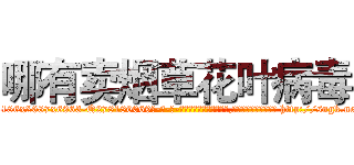 哪有卖烟草花叶病毒 (哪有卖烟草花叶病毒【电-186x2687x6963-Q278180069元-吉-药-业】我们做的是长期生意,靠的是老客户长期支持 http://sngk.net/VLuloi
)