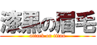漆黒の眉毛 (attack on titan)