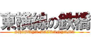 東横線の鉄橋 (SHIBUYA-DAIKANYAMA)