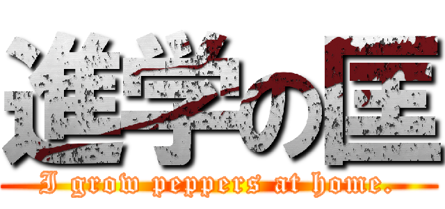 進学の匡 (I grow peppers at home.)