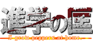 進学の匡 (I grow peppers at home.)