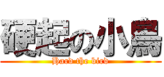 硬起の小鳥 (Hard the bird)