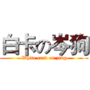 白卡の岑狗 (White card on zing)