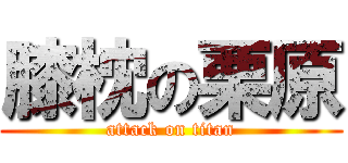 膝枕の栗原 (attack on titan)