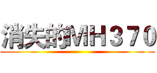消失的ＭＨ３７０ ()