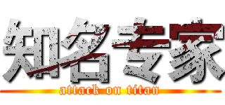 知名专家 (attack on titan)