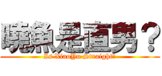 曉魚是直男？ (Is XiaoYu Straight？)
