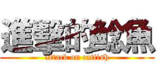 進擊的鲶魚 (attack on catfish)