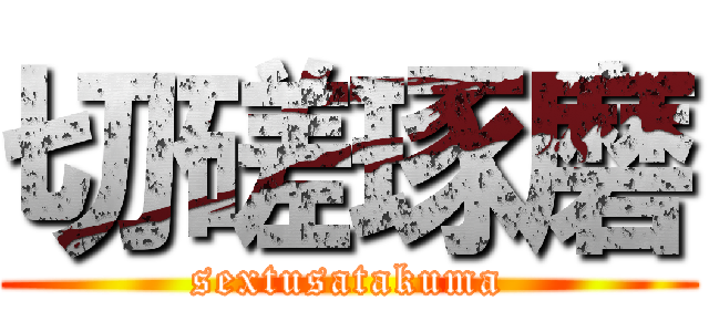 切磋琢磨 (sextusatakuma)