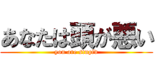 あなたは頭が悪い (you are stupid)