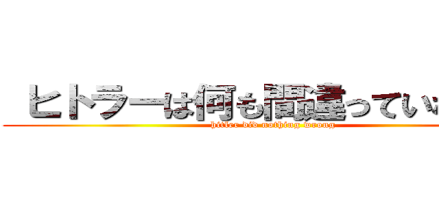  ヒトラーは何も間違っていなかった (hitler did nothing wrong)