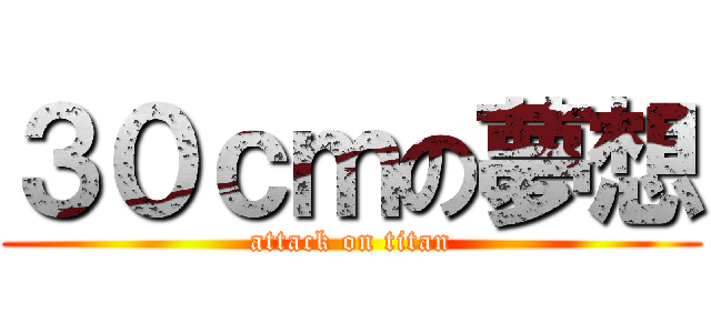 ３０ｃｍの夢想 (attack on titan)