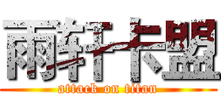 雨轩卡盟 (attack on titan)