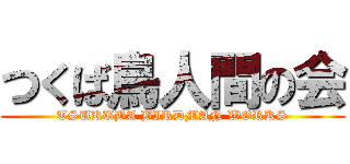 つくば鳥人間の会 (TSUKUBA BIRDMAN WORKS)