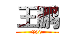 王鹏 (966)