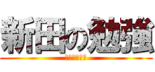 新田の勉強 (ニコチューブ)