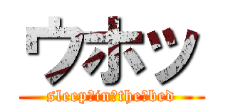 ウホッ (sleep　in　the　bed)