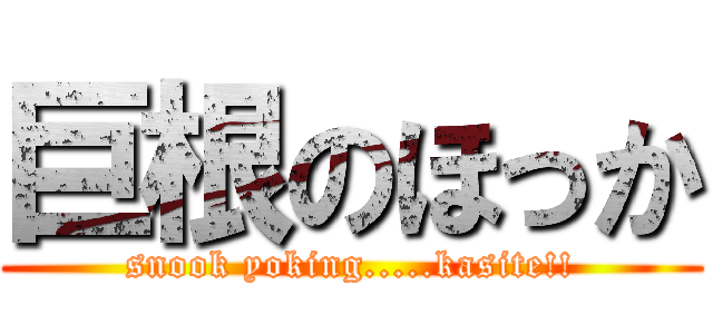 巨根のほっか (snook yoking.....kasite!!)