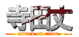 寺田丈 (attack on titan)