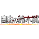 自由の鈴木翼 (Gelatin loves "gogotea")