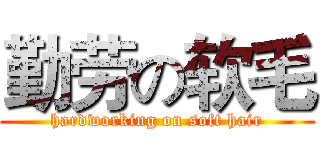 勤劳の软毛 (hardworking on soft hair)