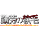 勤劳の软毛 (hardworking on soft hair)